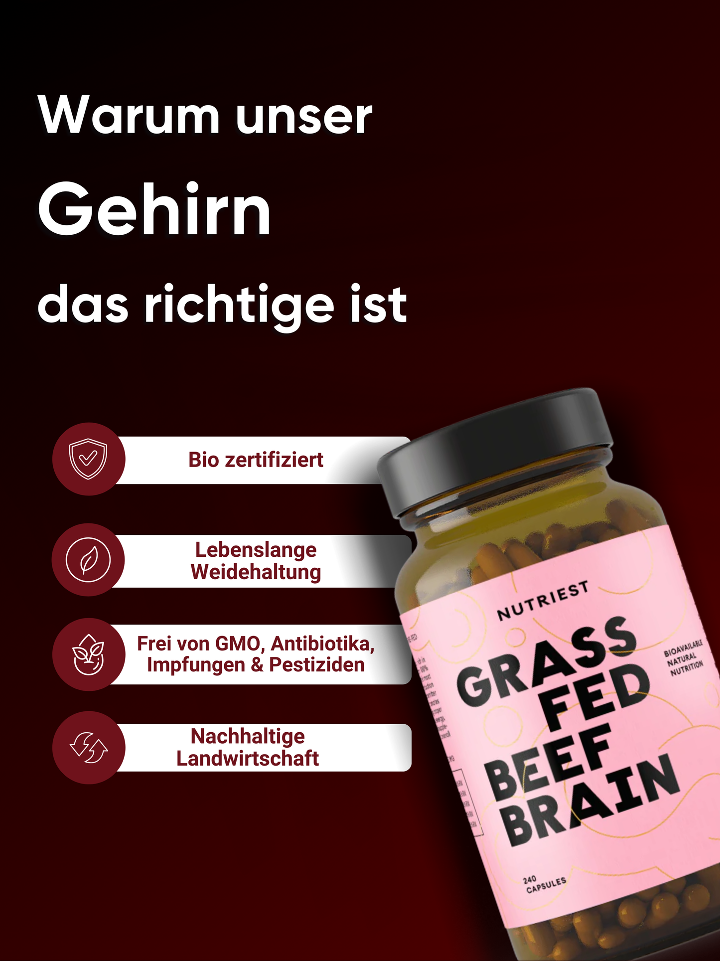 Getrocknetes Weiderind Gehirn in Kapseln