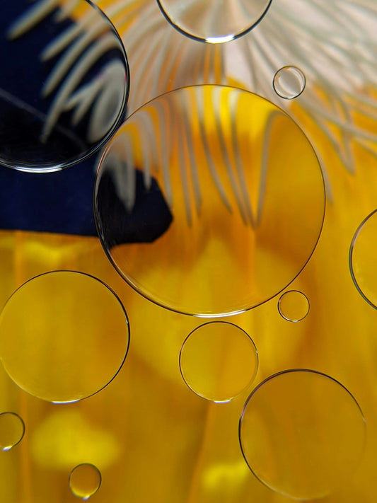 Omega-6-Überfluss: Warum zu viel Samenöl problematisch sein kann - Raw Animal