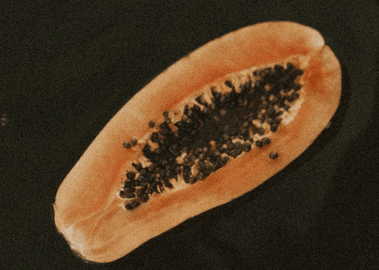 Wie Du mit der richtigen Ernährung Deine Mitochondrien stärkst und Deine Lebensenergie steigerst - Raw Animal