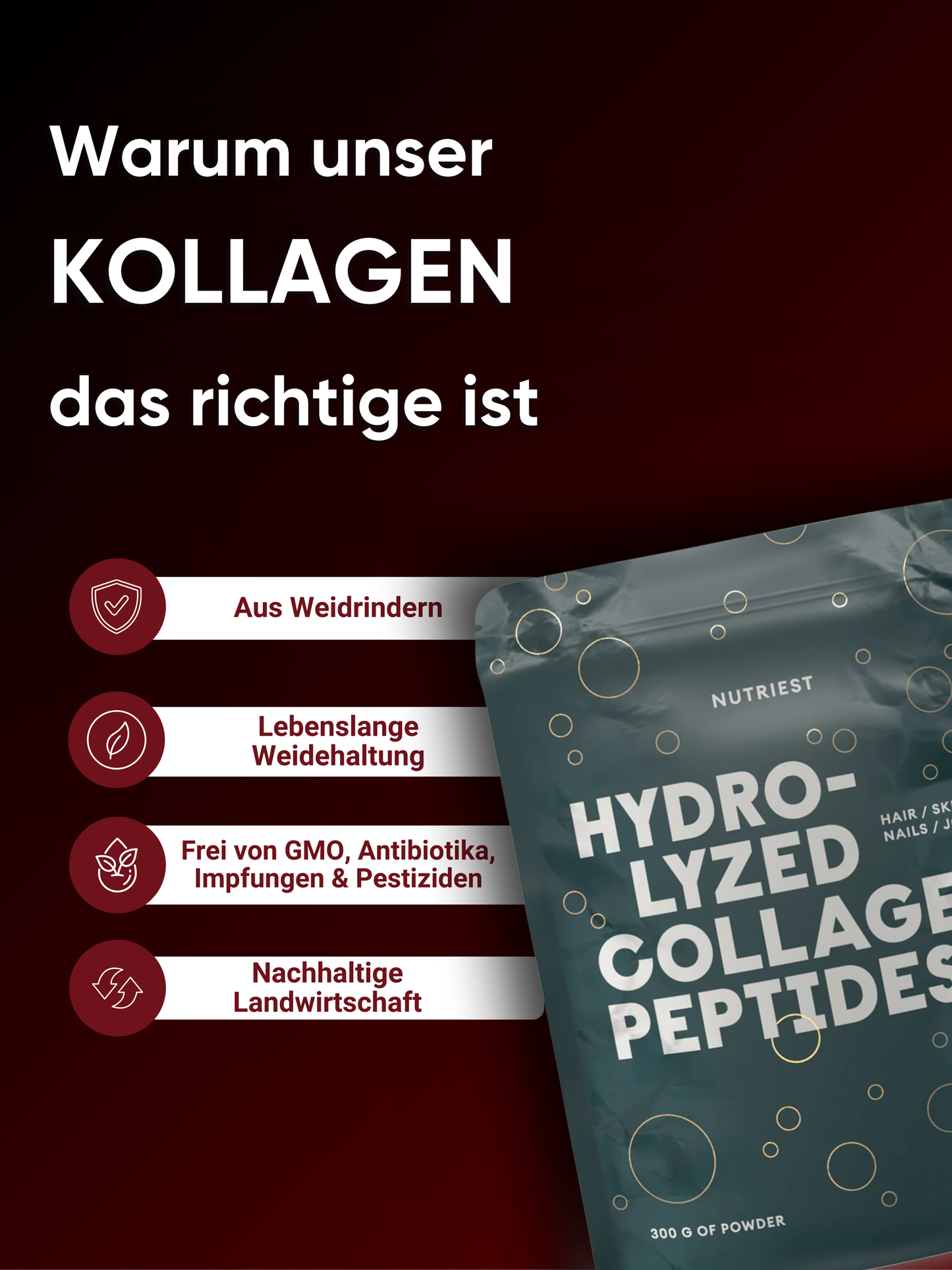 Hydrolysiertes Kollagen Pulver aus Weiderind