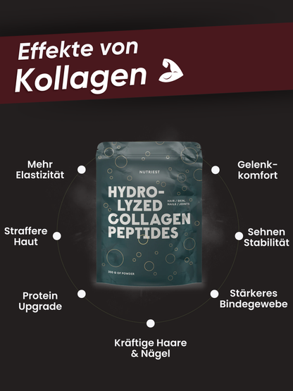 Hydrolysiertes Kollagen Pulver aus Weiderind